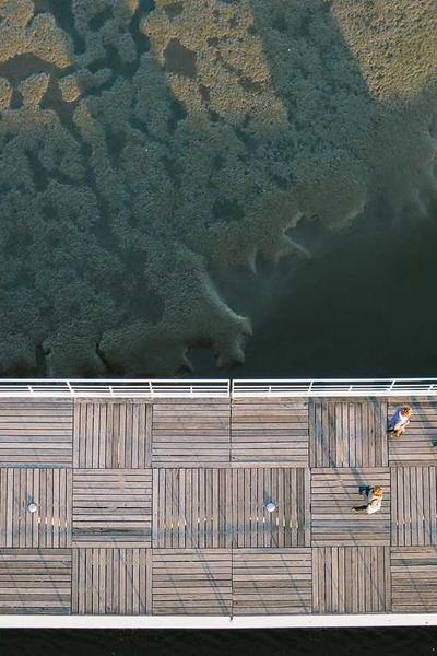 國際青少年科學競賽